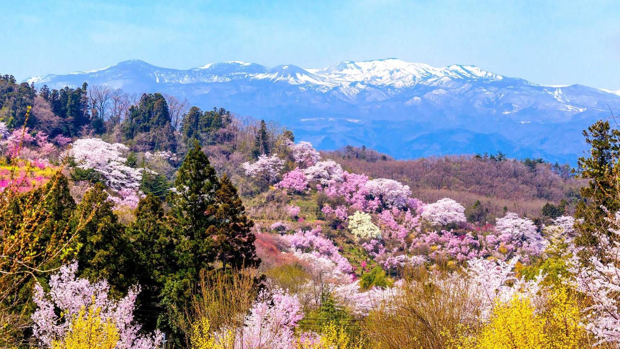 Toyoko Inn Fukushima Eki Nishi Guchi Zewnętrze zdjęcie